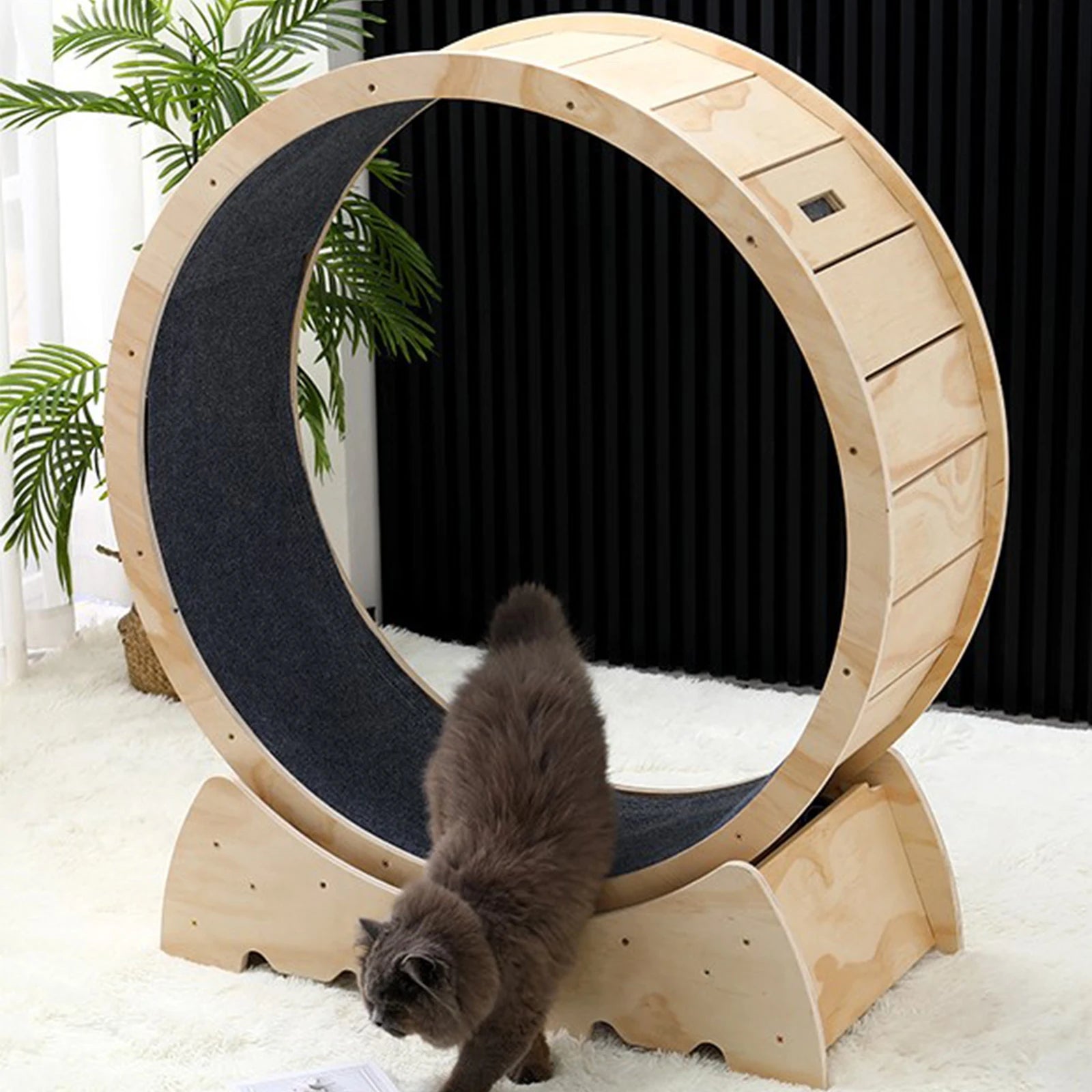 MeowWheel™ - Cat Running Wheel XL