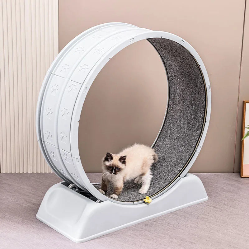 MeowWheel™ Cat Running Wheel L